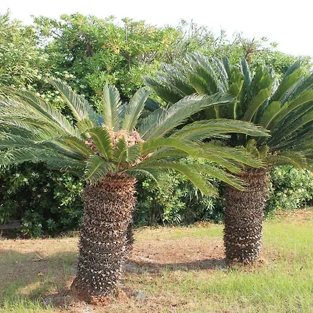 Capitolo Σπίτι διακοπών